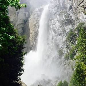 Meet your Posher, Jayne